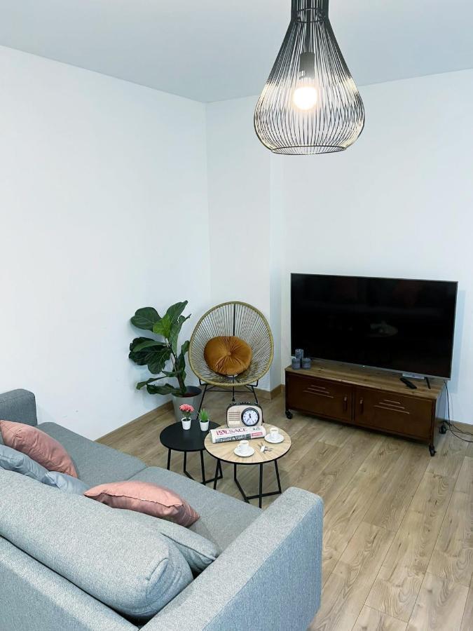 Le Convivial, Appartement Centre Ville Mulhouse Exterior foto